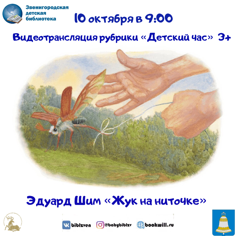 Э шим жук на ниточке презентация
